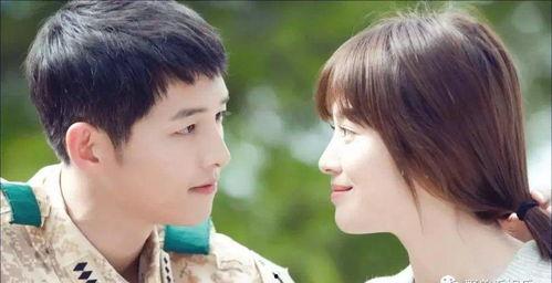 娱乐圈吃瓜嗑cp小说推荐,从吃瓜到嗑cp,解锁甜蜜爱情密码