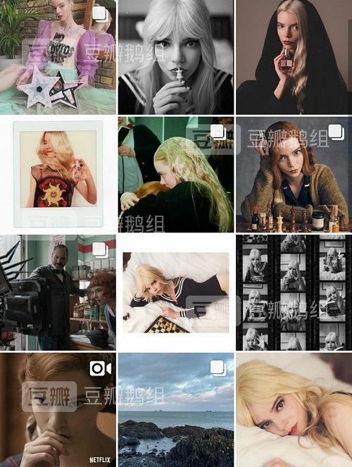 吃瓜鹅明星娱乐,揭秘娱乐圈幕后故事